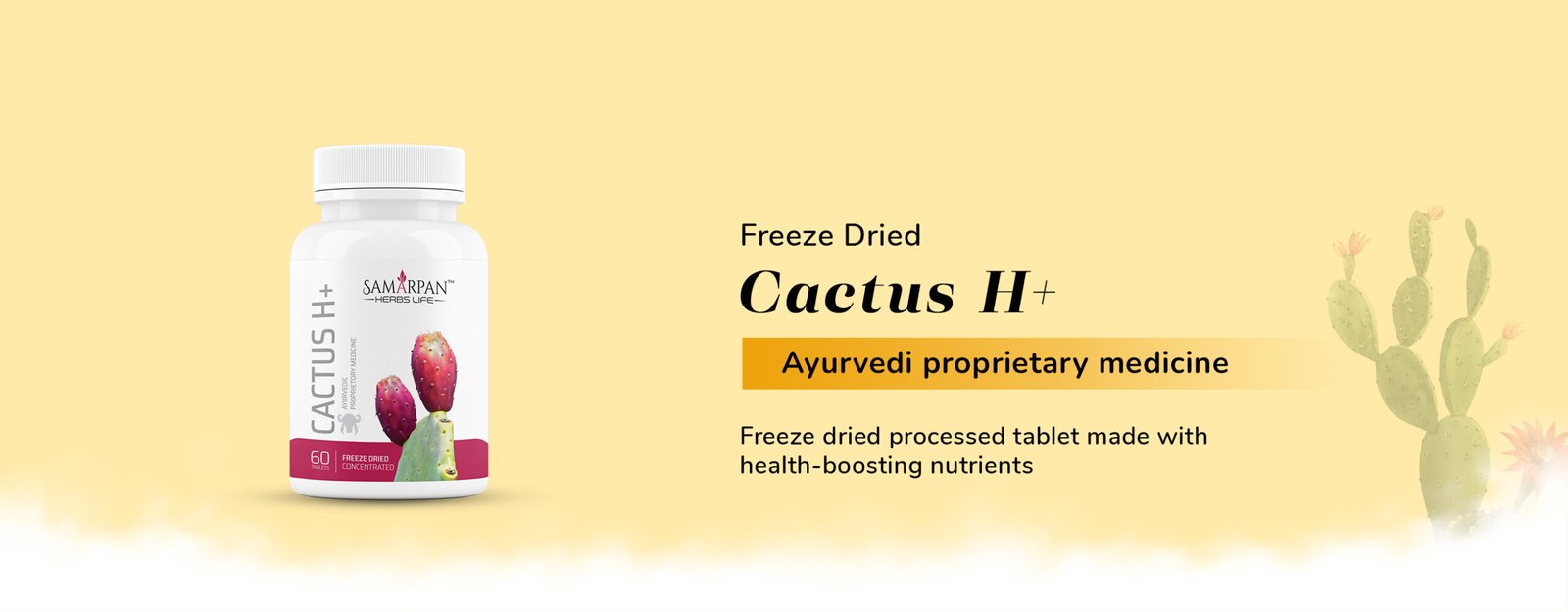 Freeze Dried Cactus H+ (1)