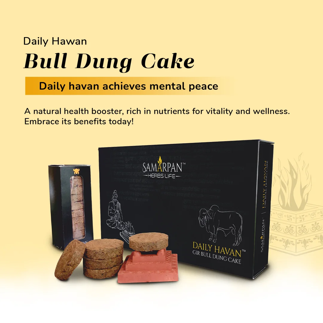 Bull dung cake